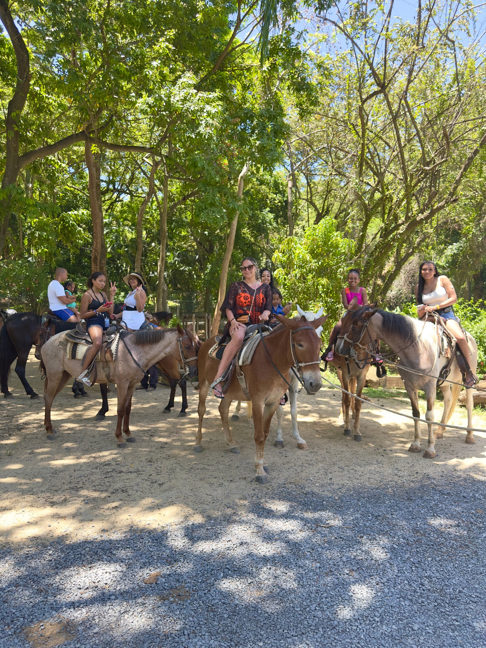 Santuario de aves y perezosos en Roatán